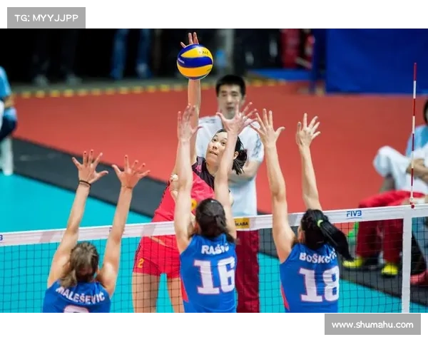 2017排球赛事-排球比赛2016